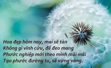 Không thể nghĩ bàn